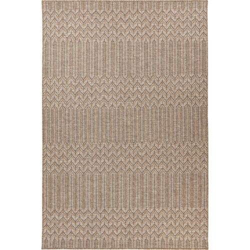 Tapis Intérieur Extérieur Naturel Antitache Robuste 290 X 200 Cm Beige