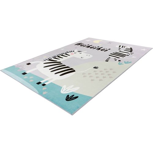 Tapis Enfant Gris Zèbre Doux Lavable Antiallergique 230 X 160 Cm Gris