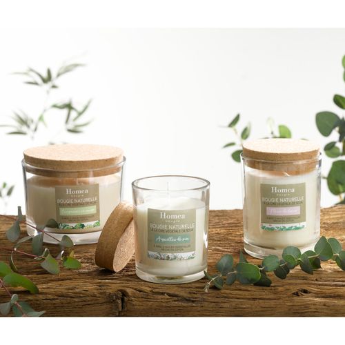 Bougie Verrine Parfum Bergamote Et Sauge