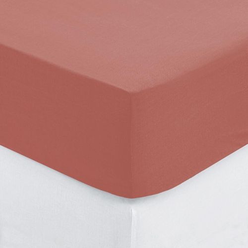 Drap Housse Coton Uni 160 X 200 Cm Couleur Moderne Blush
