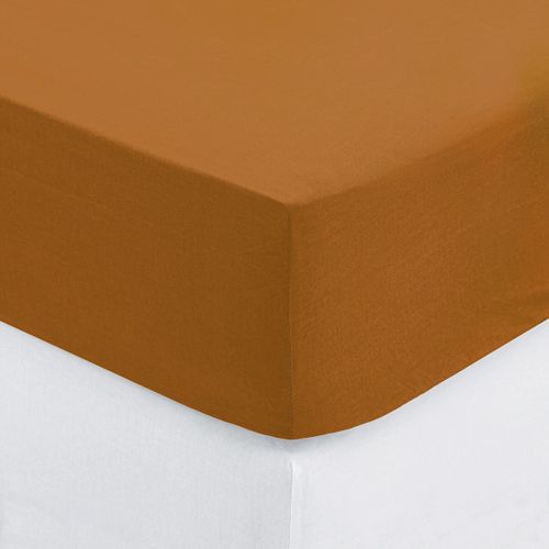 Drap Housse Coton Uni 160 X 200 Cm Couleur Moderne Cumin