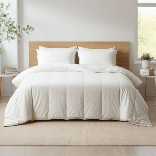 Pack Couette Tempérée Mi-saison Et Oreiller Moelleux 240x220 Cm