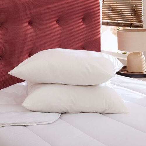 Pack Couette Été 260x240 Et Oreiller Moelleux Bio