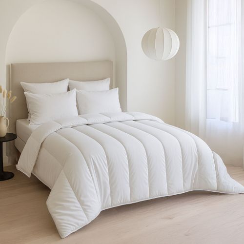 Pack Couette Tempérée Mi-saison 240x220 Et Oreiller Moelleux