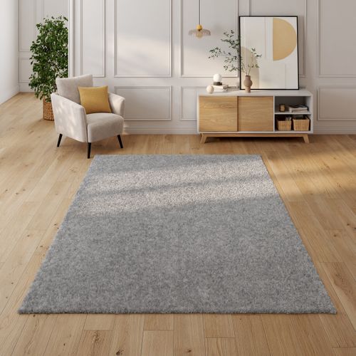 Tapis 200x290 cm LUZ Gris