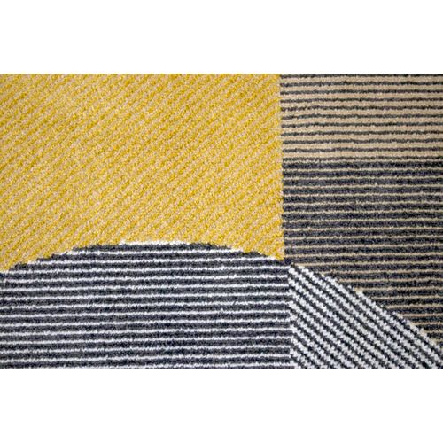 Tapis 200x290 cm RAY Multicolore.