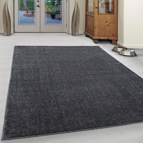 Tapis D'intérieur Élégant Californie Gris 280x370 Cm