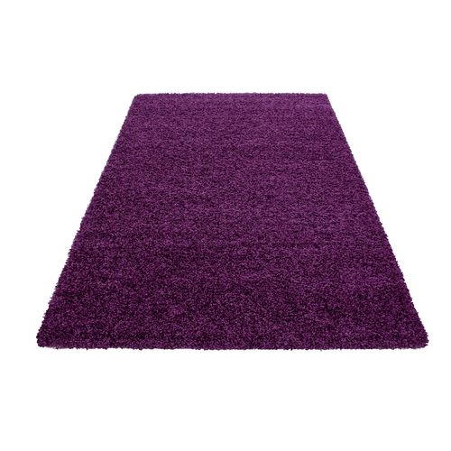 Tapis Confort Ottawa Lila 240x340 Cm