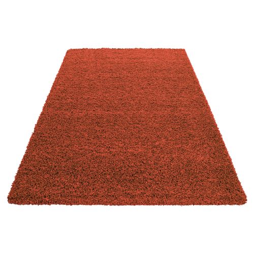 Tapis Confort Ottawa Terracotta 60x110 Cm