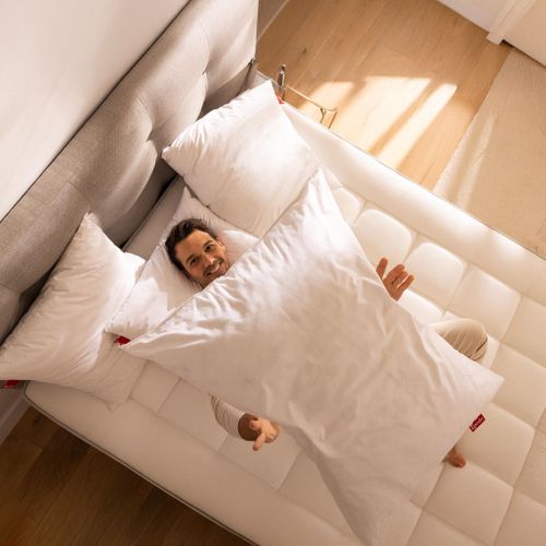 Oreiller Duvet Et Plumettes De Canard Héritage 65x65 Cm