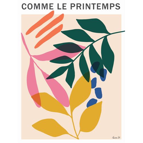 Affiches 30x40 cm - Divers modèles