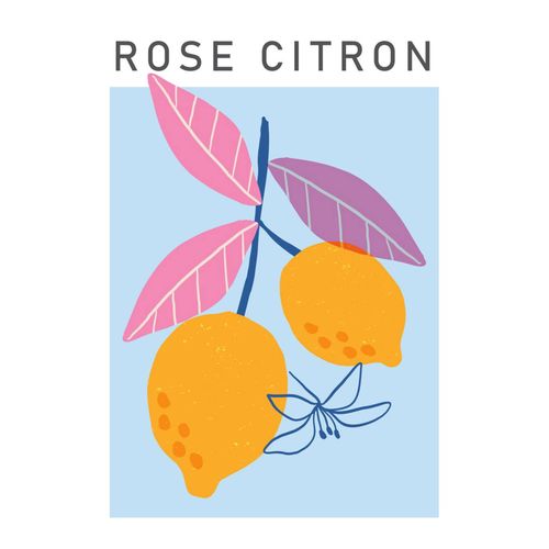 Affiches 50x70 cm - Divers modèles