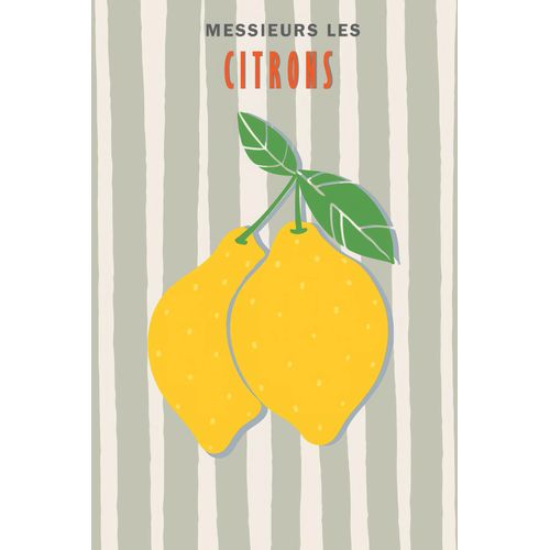 10 affiches 10x15 cm MONSIEUR MADAME Divers modèles