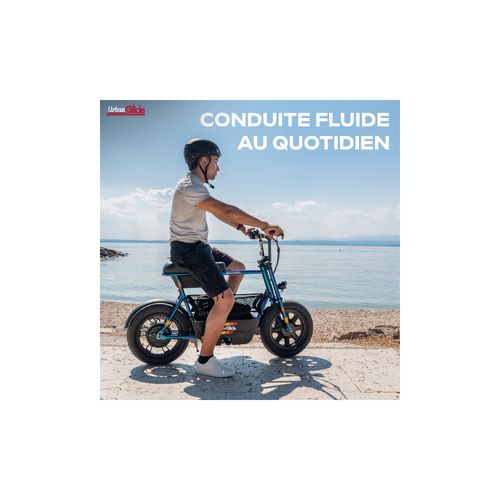 Draisienne Électrique Thunder 160, 25 Km/h, Autonomie 30 Km, Roues 16