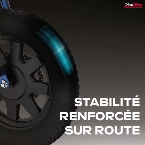 Draisienne Électrique Thunder 160, 25 Km/h, Autonomie 30 Km, Roues 16