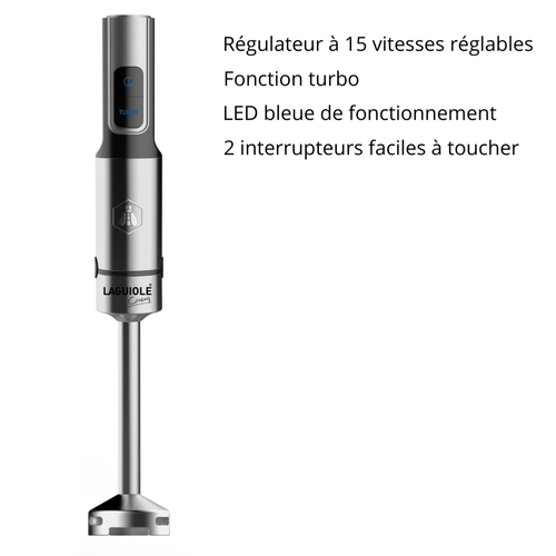 Mixeur Plongeant 1200w - 15 Vitesses