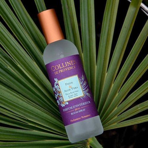 Vaporisateur Figue Et Aloe Vera 100 Ml En Verre