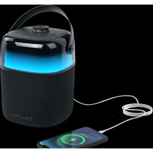 Enceinte Bluetooth Karaoké Noir - M530ka