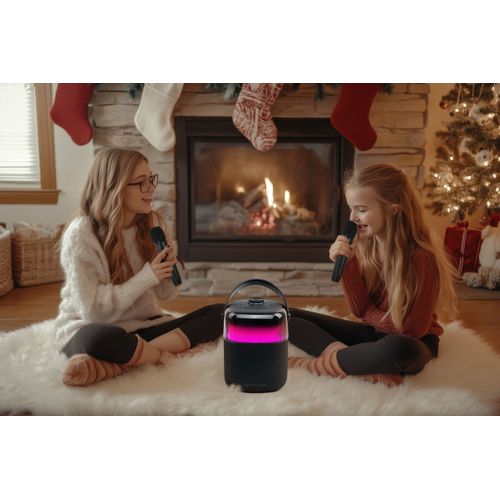 Enceinte Bluetooth Karaoké Noir - M530ka