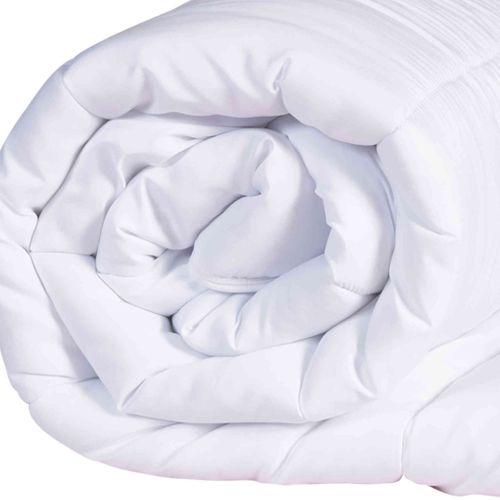 Couette Mi-saison Anti-punaises Tempérée 300g 240x220