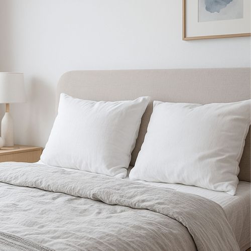 Oreiller Anti-punaises Moelleux (lot De 2) 65x65