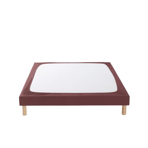 Cache-sommier Coton Jersey Marron 100x200 Cm