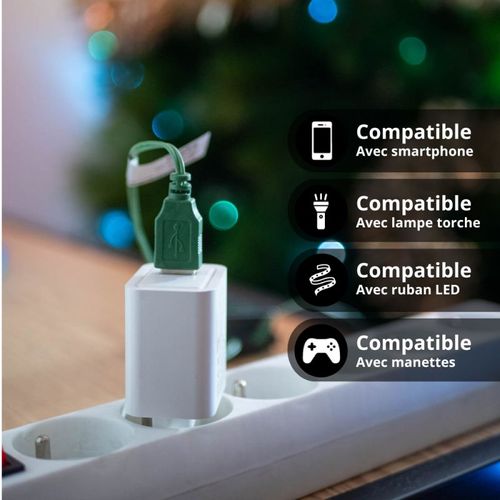 Adaptateur secteur 2 ports USB - Blanc