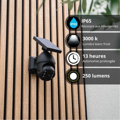 Projecteur Caméra Factice Solaire Ip65, 250 Lumens, Détecteur De Mouvement, Noir