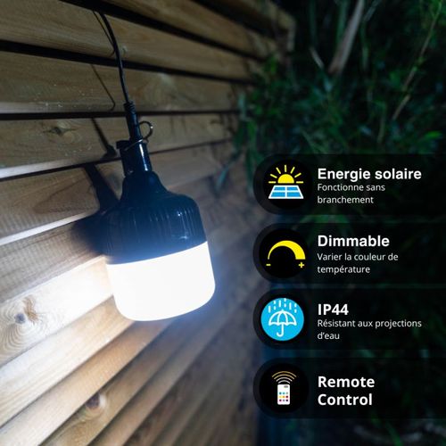 Lanterne LED à Suspendre, Solaire Hybride, 250 Lumens, Blanc Neutre, Noir