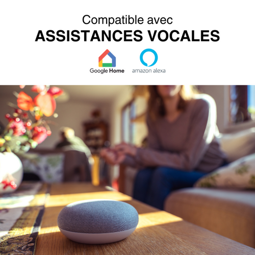 Thermostat Connecté Pour Radiateur Électrique (boîtier De Pilotage Connecté)