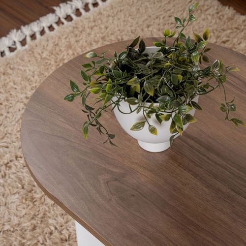 Table Basse Ovale En Bois 119x60cm