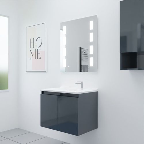 Meuble Proline 70 Cm Avec Plan Vasque Et Miroir Prestige- Gris- Résine