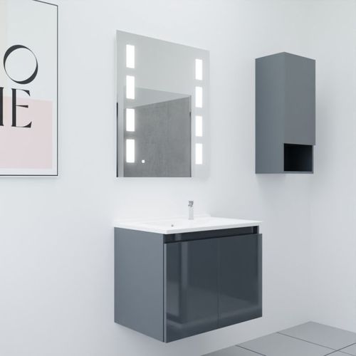 Meuble Proline 70 Cm Avec Plan Vasque Et Miroir Prestige- Gris- Résine