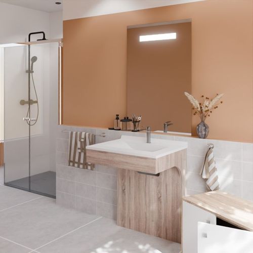 Meuble Pmr Altea 70 Cm Avec Plan Vasque Et Miroir LED Eleg Plus Ht105