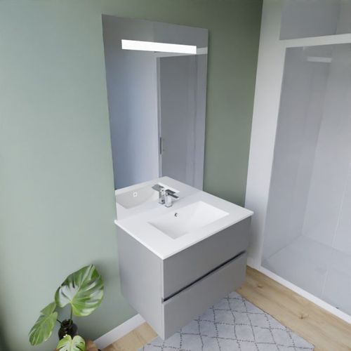 Meuble Vasque Rosaly Inox 70 Cm + Miroir Eleg Plus Ht105- Gris- Plan Vasque En Céramique