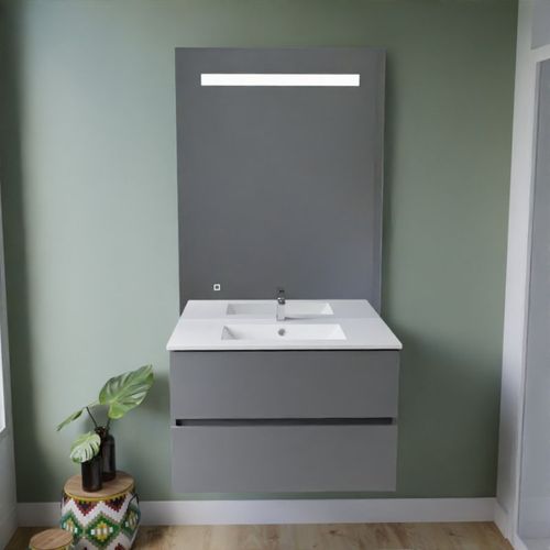 Meuble Vasque Rosaly Inox 80 Cm + Miroir Elégance Ht105- Gris- Plan Vasque En Céramique