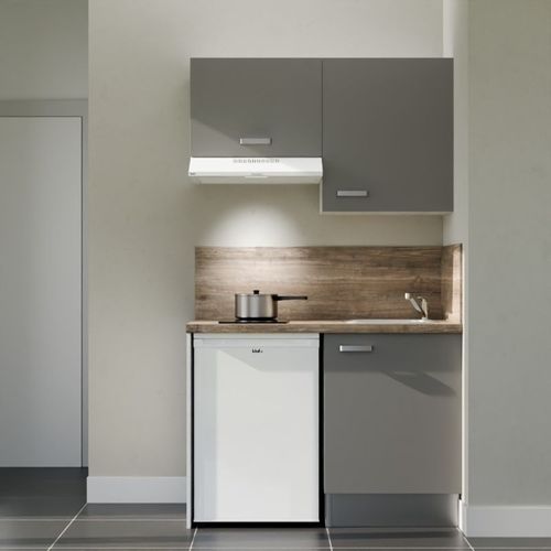 Kitchenette K01l-pt - 120 Cm-façade Gris-plan Bois-evier Inox-crédences Oui+electro Blanc