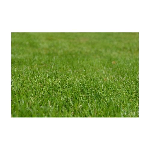 Terreau Bio Actif 40 Litres Lot De 5