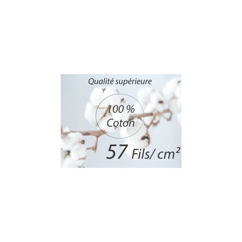 Housse De Couette 220x240 Cm Et Ses 2 Taies Balmaz 100% Coton (3p)