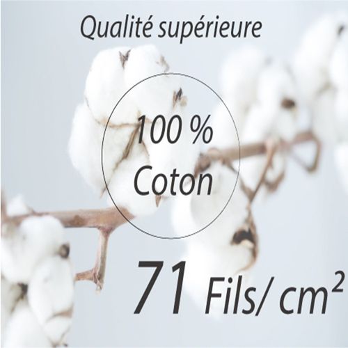 Housse De Couette En Percale De Coton + 2 Taies Hana