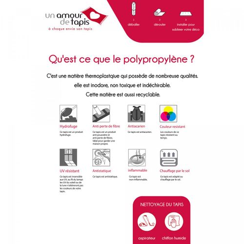 Tapis Grand Salon 300x400 Tissé Blanc Cassé Rectangle Motif Uni Epaissia +