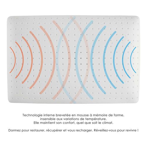 Oreiller 60 X 40 Cm Avec Mousse à Mémoire De Forme Air Feel™ - Luna 01