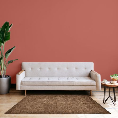 Tapis 200 X 300 Cm Shaggy à Poils Courts Doux Marron – Cosmos