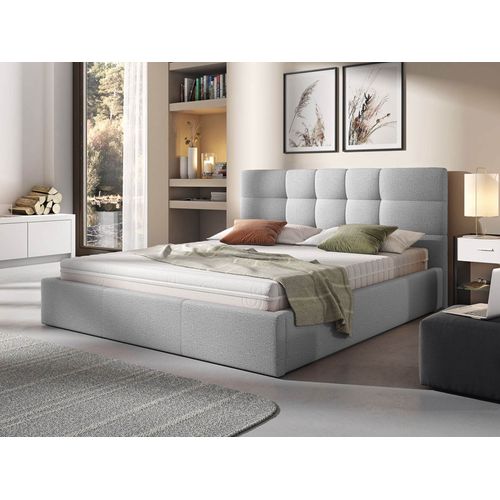 Mael - Lit Coffre - 160x200 - En Tissu - Sommier Inclus Gris Clair