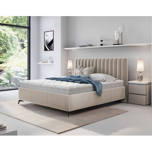 Mendoza - Lit Coffre - 140x200 - Sommier Inclus - En Velours Beige