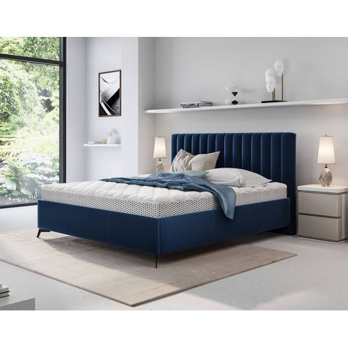 Mendoza - Lit Coffre - 180x200 - Sommier Inclus - En Velours Bleu