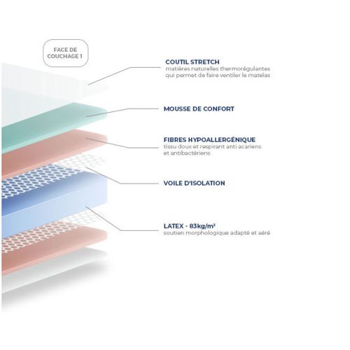 Matelas Essenzia Morphozone 190 180x190 Latex
