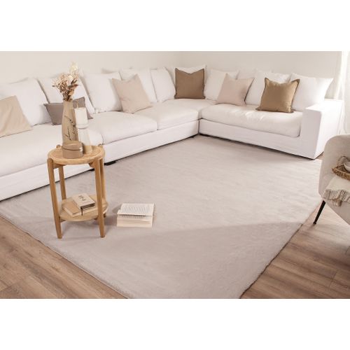 Tapis De Salon Ava Très Doux Gris 160x230