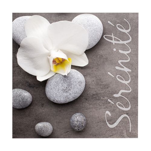 Lot De 20 Serviettes Papier Serenite