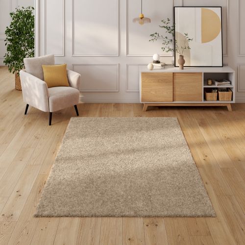 Tapis 160x230 cm LUZ Beige